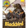 KNYGA Ruth Owen Wildlife Watchers: Blackbird