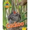 KNYGA Ruth Owen Wildlife Watchers: Cuckoo