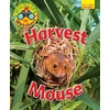 KNYGA Ruth Owen Wildlife Watchers: Harvest Mouse