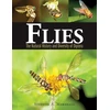 KNYGA S A Marshall Flies