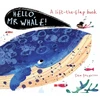 KNYGA Sam Boughton Hello, Mr Whale!