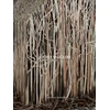 KNYGA Sam Keller Doris Salcedo