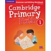 KNYGA Sarah Dilger Cambridge Primary Path Level 1 Grammar and Writing Workbook
