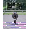 KNYGA Sarah Fisher Healthy Donkey