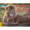 KNYGA Scott Jonathan Cambridge Reading Adventures Scarface: The Real Lion King Gold Band