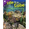 KNYGA Seth Rogers Life in a Cube
