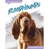 KNYGA Shannon Jade Bloodhounds