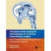 KNYGA Shirley A Bayer Human Brain during the First Trimester 31- to 33-mm Crown-Rump Lengths
