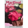KNYGA Sj Litherland Marginal Future