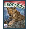 KNYGA Sophie Geister Jones Leopards