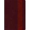 KNYGA Spck ESV Study Bible, Large Print