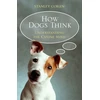 KNYGA Stanley Coren How Dogs Think
