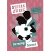 KNYGA Stefan Zweig Burning Secret