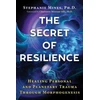KNYGA Stephanie Mines Secret of Resilience