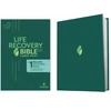 KNYGA Stephen Arterburn Life Recovery Bible NLT, Large Print