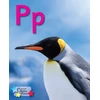 KNYGA Stephen Rickard Alpha Stars Pp