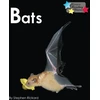 KNYGA Stephen Rickard Bats