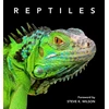 KNYGA Steve Wilson Reptiles
