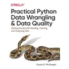 KNYGA Susan E Mcgregor Practical Python Data Wrangling and Data Quality