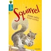 KNYGA Susan Gates Oxford Reading Tree All Stars: Oxford Level 9 Squirrel, Level 9
