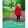 KNYGA Suzannah Ditchburn Trail in the Woods
