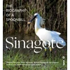 KNYGA Theunis Piersma Sinagote, the biography of a spoonbill