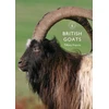 KNYGA Tiffany Francis British Goats