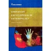 KNYGA Tim Ingold Companion Encyclopedia of Anthropology
