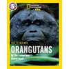 KNYGA Tim Laman Face to Face with Orangutans