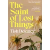 KNYGA Tish Delaney Saint of Lost Things