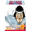 KNYGA Tite Kubo Bleach, Vol. 28
