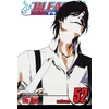 KNYGA Tite Kubo Bleach, Vol. 52