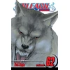 KNYGA Tite Kubo Bleach, Vol. 62