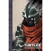 KNYGA Tom Waltz Teenage Mutant Ninja Turtles: The IDW Collection Volume 6