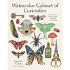 KNYGA Tourino Nassybah Watercolor Cabinet of Curiosities