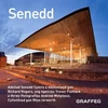 KNYGA Trevor Fishlock Senedd