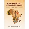 KNYGA Ugo Sj Nacciarone Accidental African Blessings