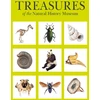 KNYGA Vicky Paterson Treasures of the Natural History Museum