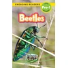 KNYGA Victoria Hazlehurst Beetles