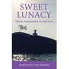 KNYGA Vraje Abramian Sweet Lunacy