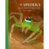 KNYGA Ximena Nelson Lives of Spiders, A Natural History of the World's Spiders