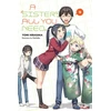 KNYGA Yomi Hirasaka Sister's All You Need., Vol. 9 (light novel)