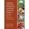 KNYGA Alan E Bessette Puffballs, Earthstars, Stinkhorns, and Other Gasteroid Fungi of Eastern North America