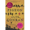 KNYGA Alys Conran Pigeon