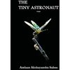 KNYGA Amlaan Akshayanshu Sahoo Tiny Astronaut