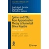 KNYGA Angela Kunoth Splines and PDEs: From Approximation Theory to Numerical Linear Algebra