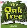 KNYGA Anna Owen Oak Tree