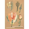 KNYGA Anna Watz Surrealist Women's Writing