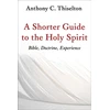 KNYGA Anthony C Thiselton Shorter Guide to the Holy Spirit
