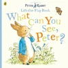KNYGA Beatrix Potter What Can You See Peter?